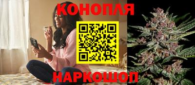 apvp Краснознаменск