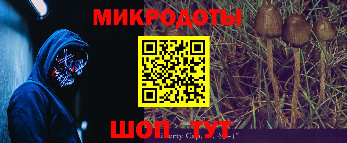 Черкесск  Псилоцибиновые грибы Magic Shrooms  Вход с VPN 